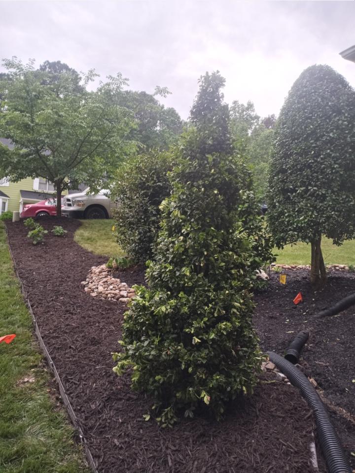 Resized IMG 20220521 194356