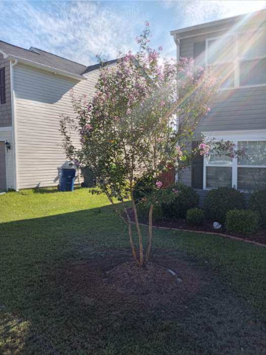 Resized IMG 20220813 094732