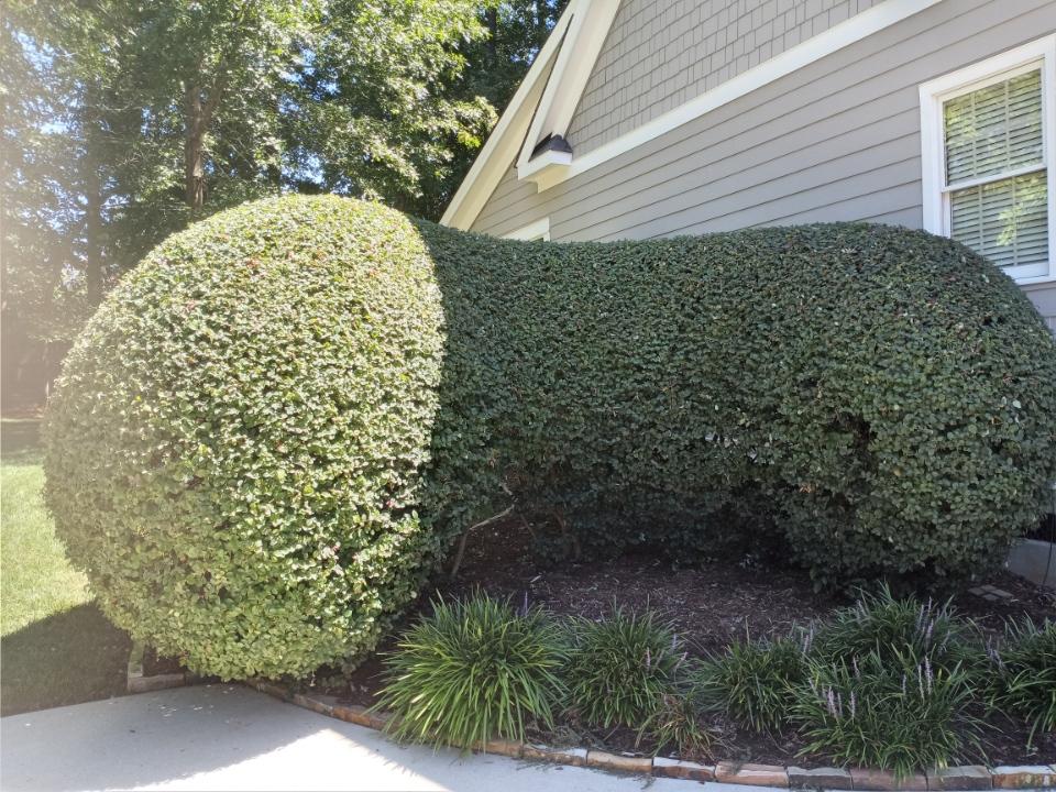 Resized IMG 20220813 120601 1