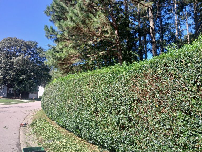 1489541035610521274 768x576