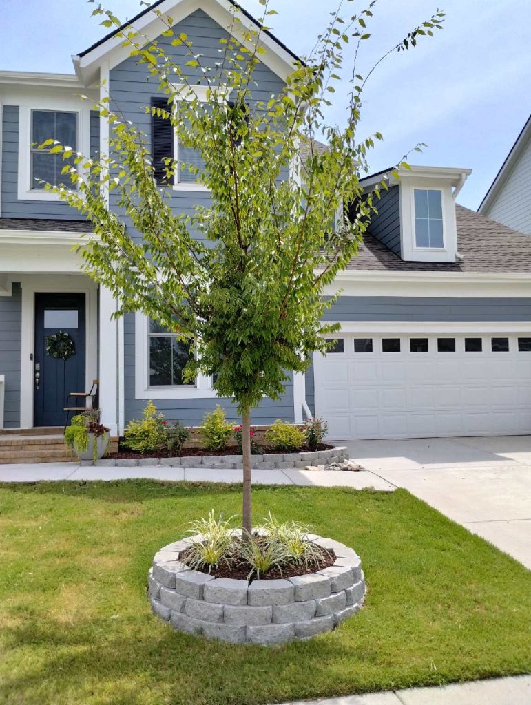 4147422248096399619 771x1024